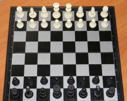 Как научиться играть в шахматы с нуля