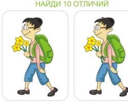 Online games - for kids - find the differences Find the differences game 2 version 5985 level