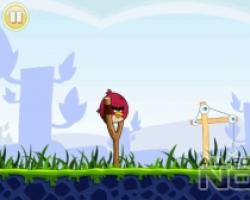 Ігри Angry Birds - Злі Птахи виходять на стежку війни!